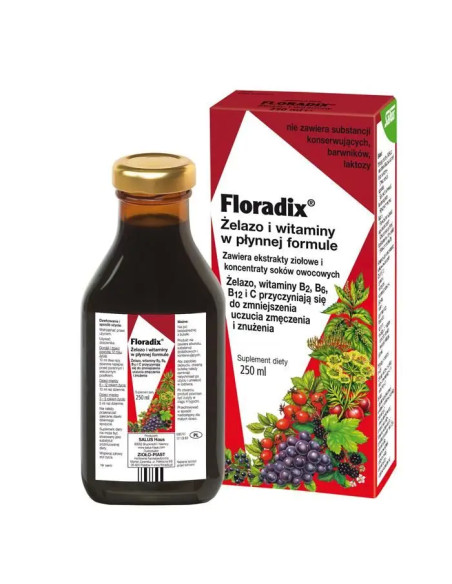 Floradix żelazo i Witaminy 250 ml