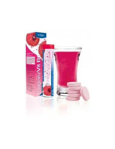 MagnezVit B6 Activlab Pharma