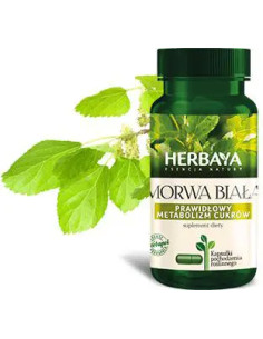 Herbaya Morwa biała Prawidłowy metabolizm cukrów 60 kaps.