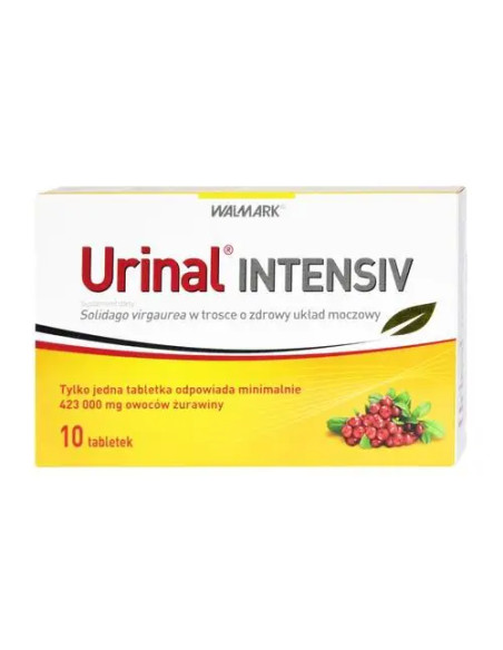 Urinal Intensiv 10 tabl.
