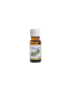 Olejek eteryczny sosnowy 10 ml Etja