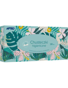 Chusteczki higieniczne 100 szt. Apteco Care