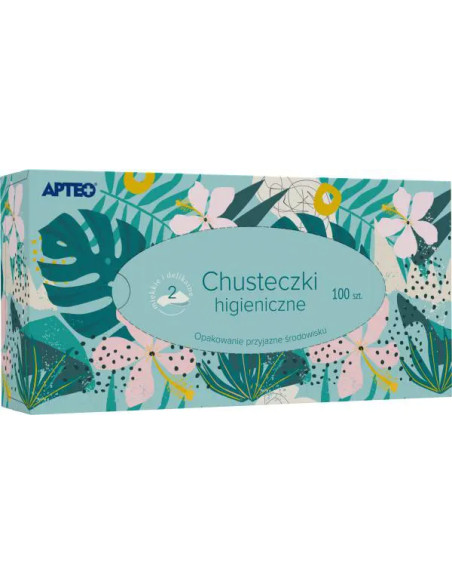 Chusteczki higieniczne 100 szt. Apteco Care