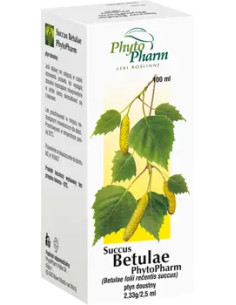 Succus Betulae płyn doustny 100 ml