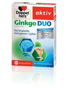 Doppelherz Aktiv Ginkgo Duo 60 kaps.
