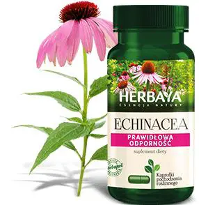 Herbaya Echinacea Prawidłowa Odporność 60 kaps. - 1 - Apteka HIT